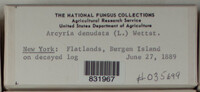 Image Associated With the Occurence